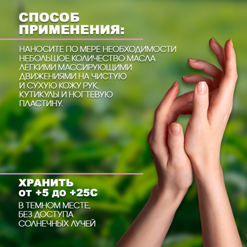 Твёрдое масло монарды для ногтей и кутикулы 20 г. FIRM-OIL-MON фото 3