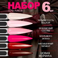 Набор гель-лаков 5 шт. PINK-KIT6